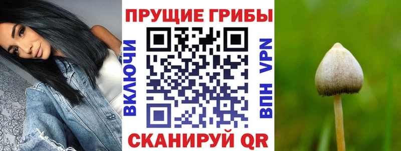 Галлюциногенные грибы Psilocybine cubensis kraken ССЫЛКА Борисоглебск
